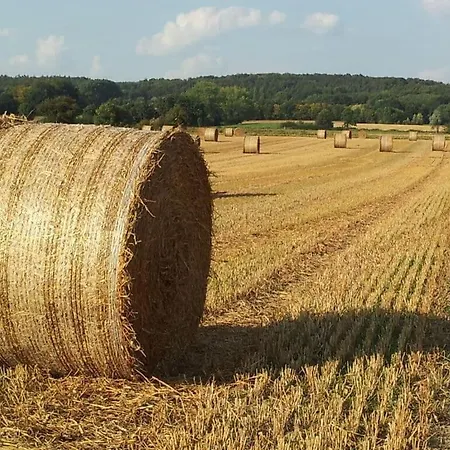Tuernau Modern Retreat Feriehus Wolpinghausen